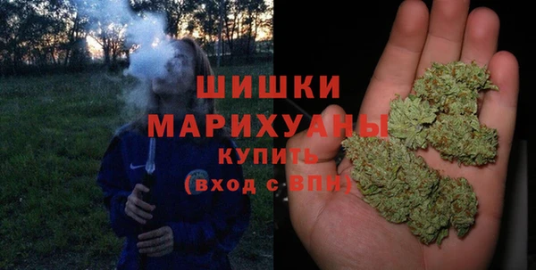 СК Инта