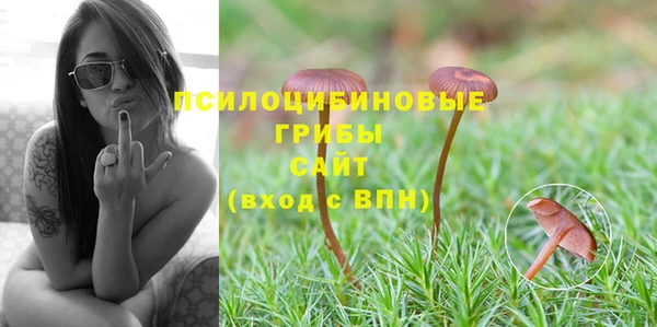 бутират Касимов