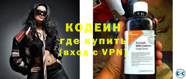 твердый Карпинск
