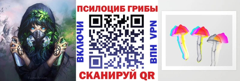 Галлюциногенные грибы прущие грибы  Красавино 